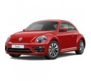 Beetle