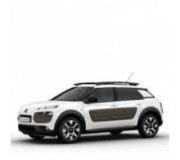 C4 Cactus (2014-...)