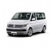 T6