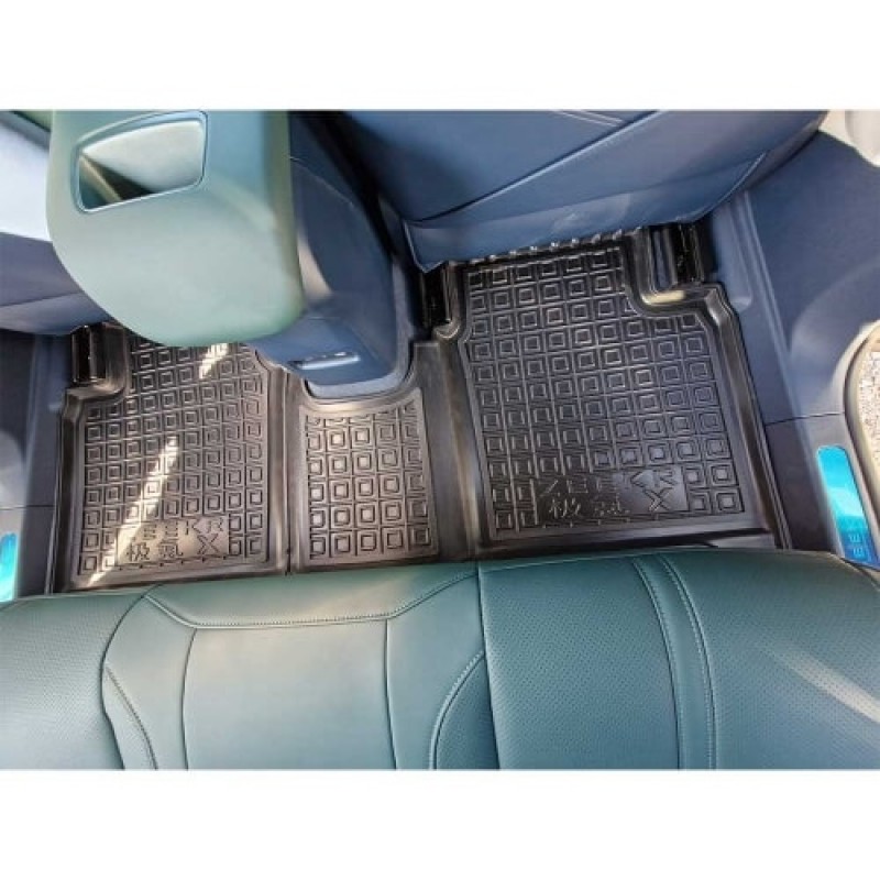 Коврики в салон Zeekr X (2022-...) (Avto-Gumm)