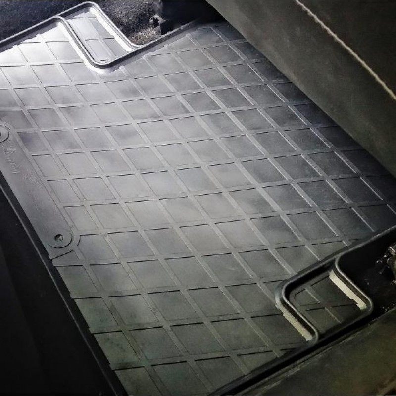 Гумові килимки в салон для Renault Fluence / Megane 3 (2008-2015) комплект з 4 штук (Stingray)