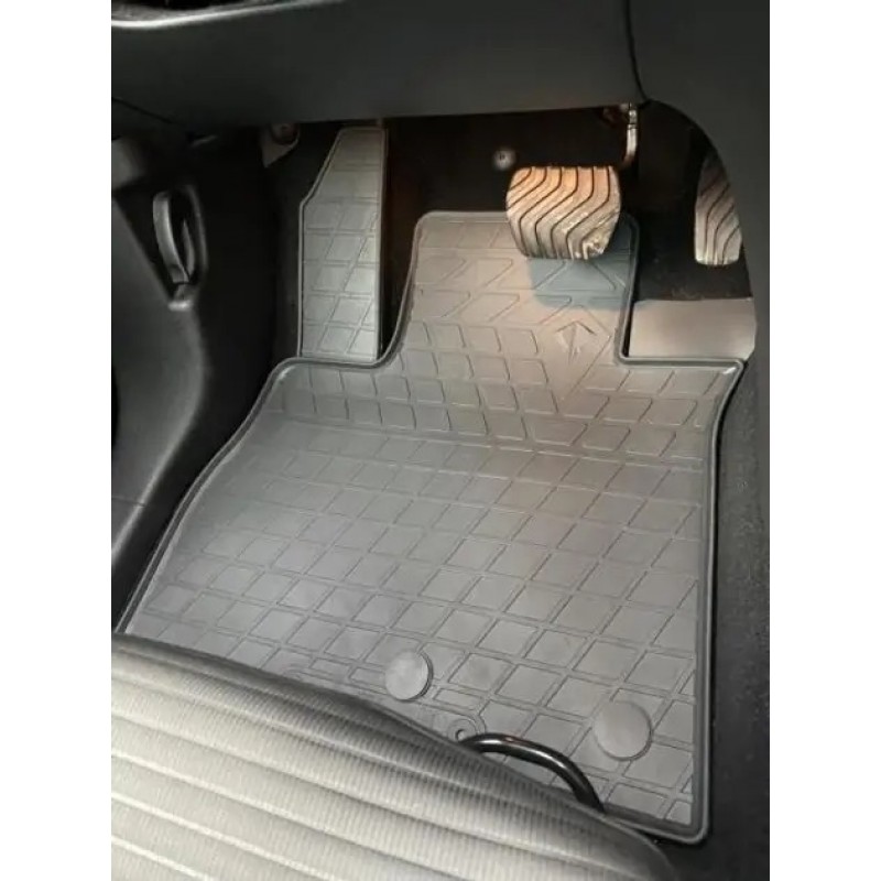 Гумові килимки в салон для Renault Scenic IV (2016-...) комплект з 4 штук (Stingray)