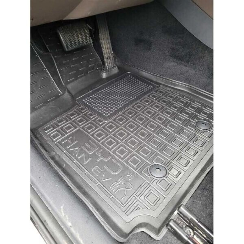 Коврики в салон BUD HAN EV (2020-...) (Avto-Gumm)