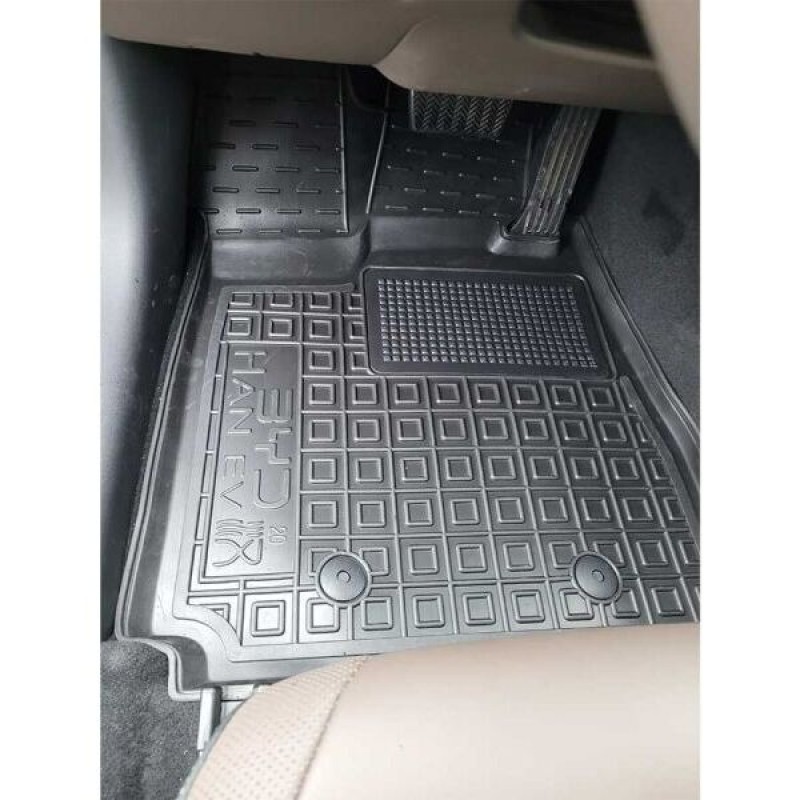 Коврики в салон BUD HAN EV (2020-...) (Avto-Gumm)