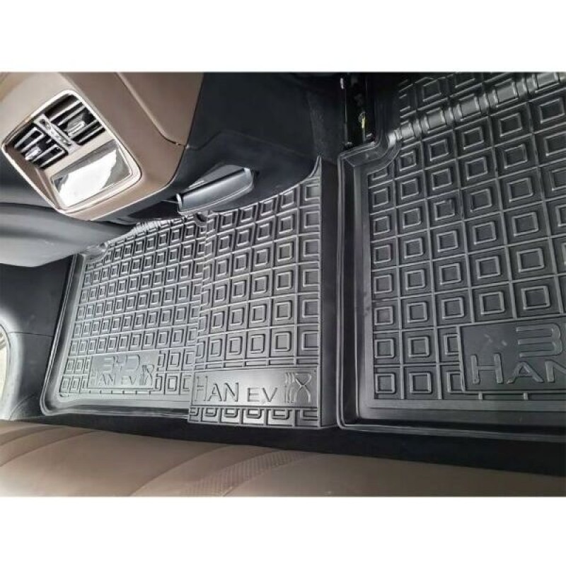 Коврики в салон BUD HAN EV (2020-...) (Avto-Gumm)